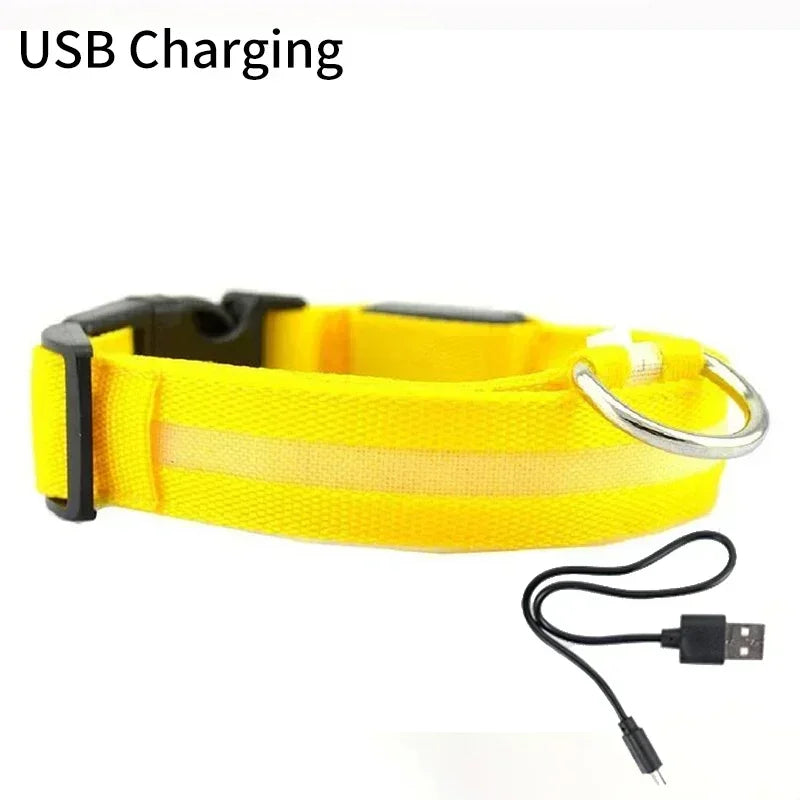 Pet Dog LED Glowing Collar USB Rechargeable Night Light Luminous Flashing Necklace Anti-Lost Outdoor Walking Safety Accesorios