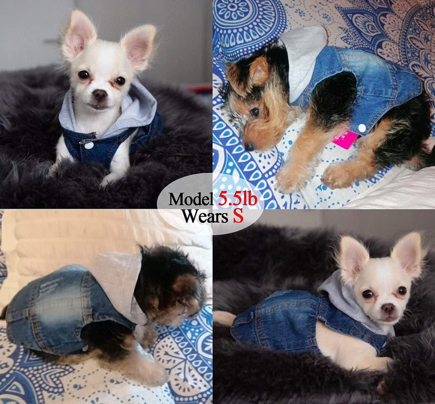 Pet Clothes Dog Jeans Jacket Cool Blue Denim Hoodie Coat, Puppy Clothing Shirt Costume, Doggy Vintage Washable Lapel Vest, Dog Classic T-Shirt Apparel for Small Medium Dogs Cats (Blue, Small)