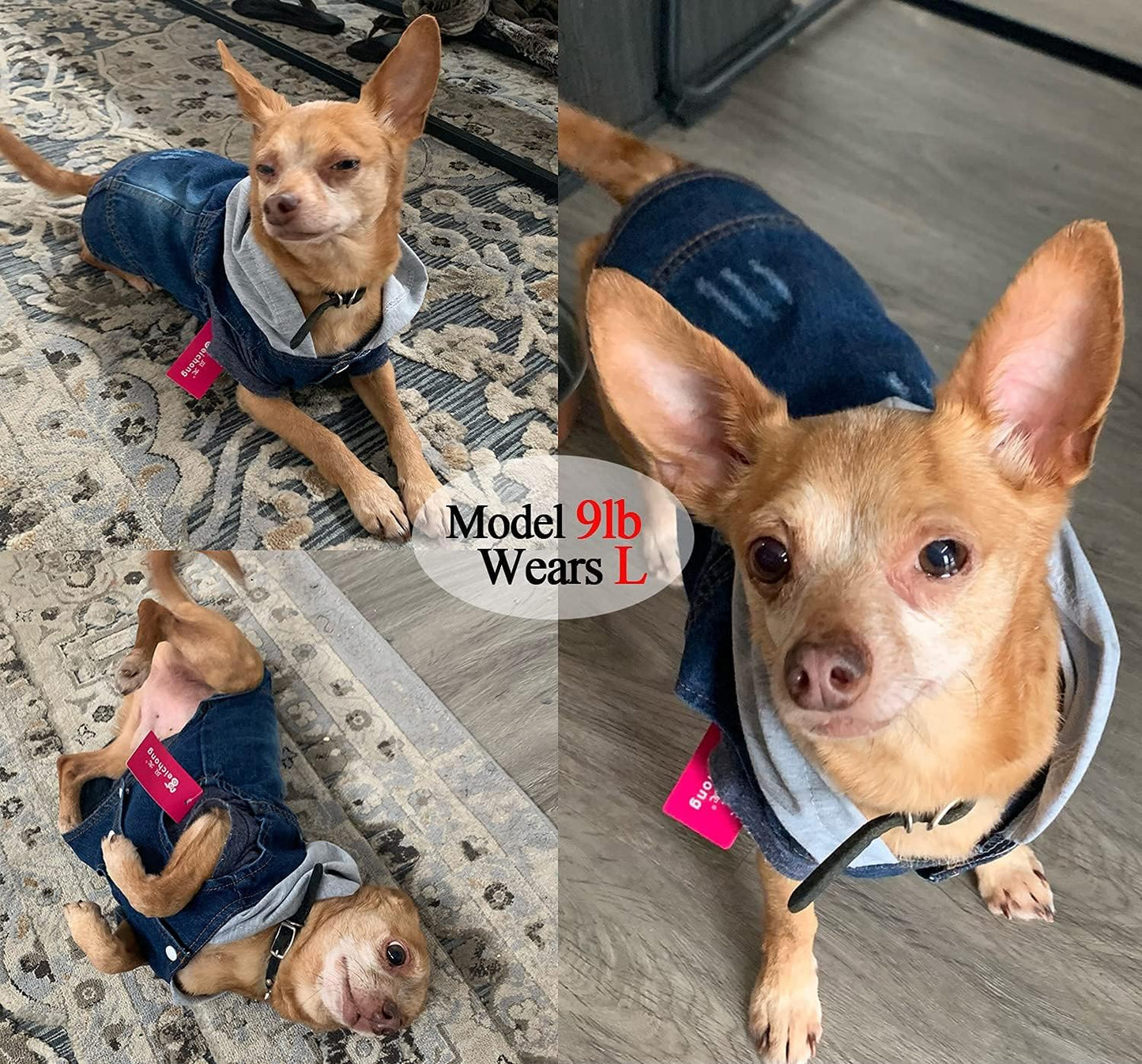 Pet Clothes Dog Jeans Jacket Cool Blue Denim Hoodie Coat, Puppy Clothing Shirt Costume, Doggy Vintage Washable Lapel Vest, Dog Classic T-Shirt Apparel for Small Medium Dogs Cats (Blue, Small)
