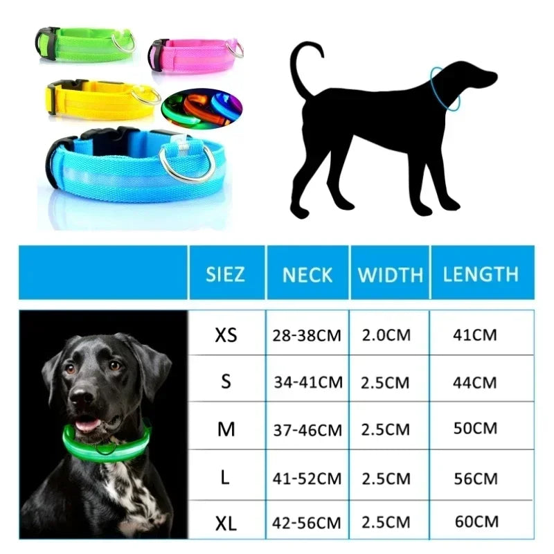 Pet Dog LED Glowing Collar USB Rechargeable Night Light Luminous Flashing Necklace Anti-Lost Outdoor Walking Safety Accesorios