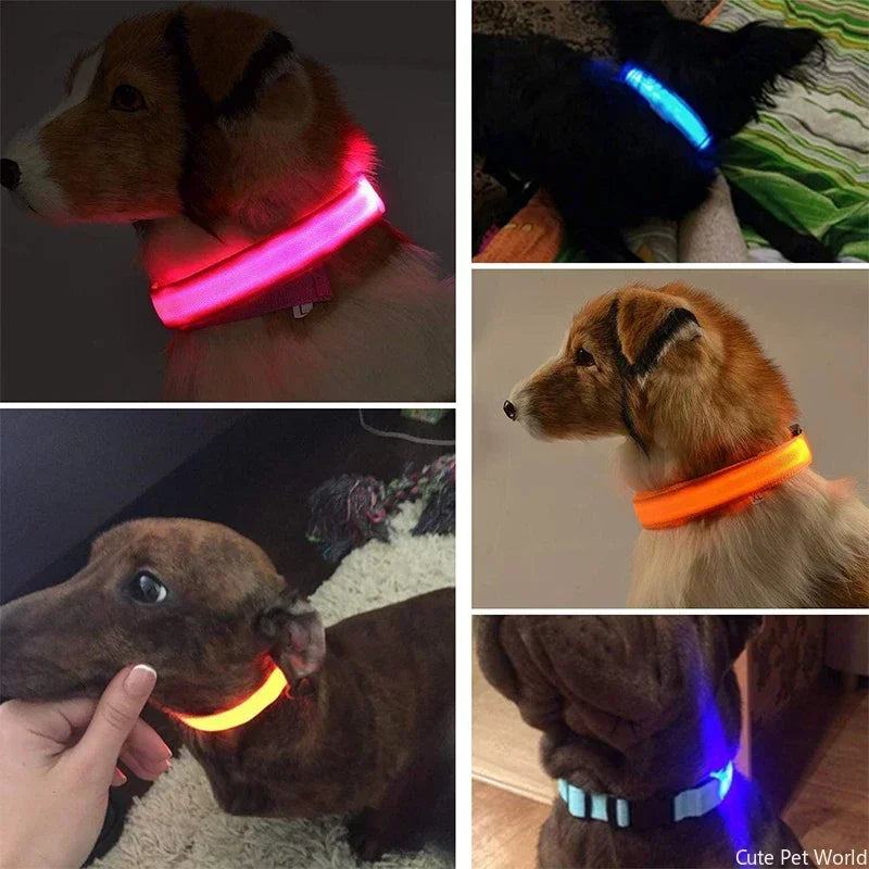 Pet Dog LED Glowing Collar USB Rechargeable Night Light Luminous Flashing Necklace Anti-Lost Outdoor Walking Safety Accesorios