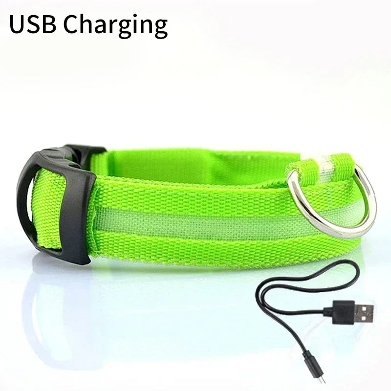Pet Dog LED Glowing Collar USB Rechargeable Night Light Luminous Flashing Necklace Anti-Lost Outdoor Walking Safety Accesorios