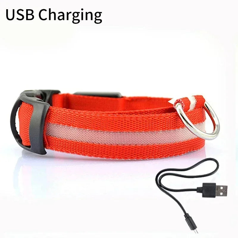 Pet Dog LED Glowing Collar USB Rechargeable Night Light Luminous Flashing Necklace Anti-Lost Outdoor Walking Safety Accesorios