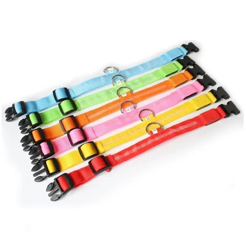 Pet Dog LED Glowing Collar USB Rechargeable Night Light Luminous Flashing Necklace Anti-Lost Outdoor Walking Safety Accesorios
