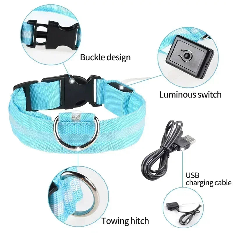 Pet Dog LED Glowing Collar USB Rechargeable Night Light Luminous Flashing Necklace Anti-Lost Outdoor Walking Safety Accesorios