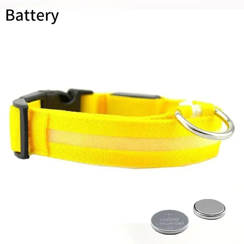 Pet Dog LED Glowing Collar USB Rechargeable Night Light Luminous Flashing Necklace Anti-Lost Outdoor Walking Safety Accesorios